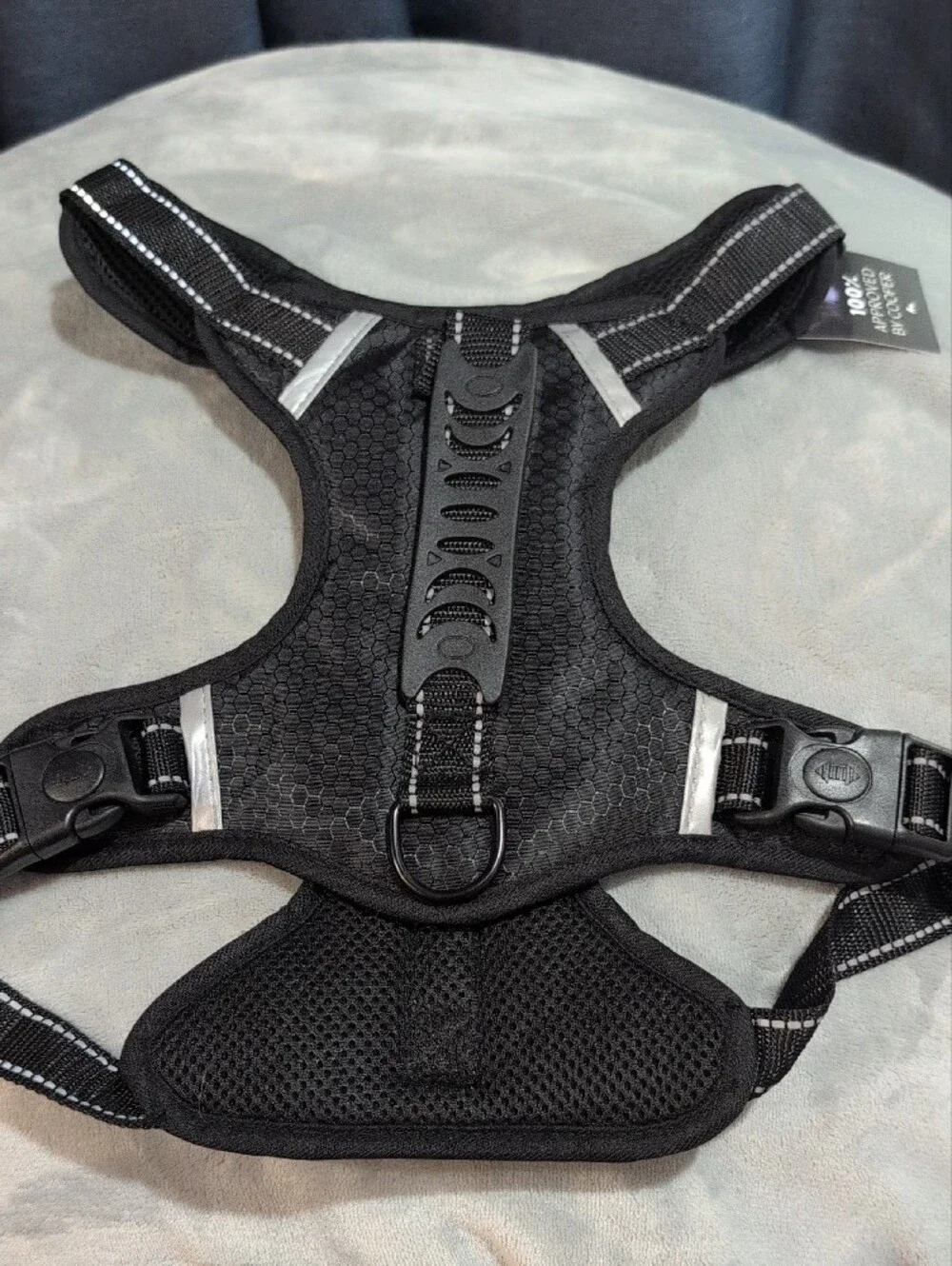 Black Padded Mesh Dog Harness - Adjustable Comfort
